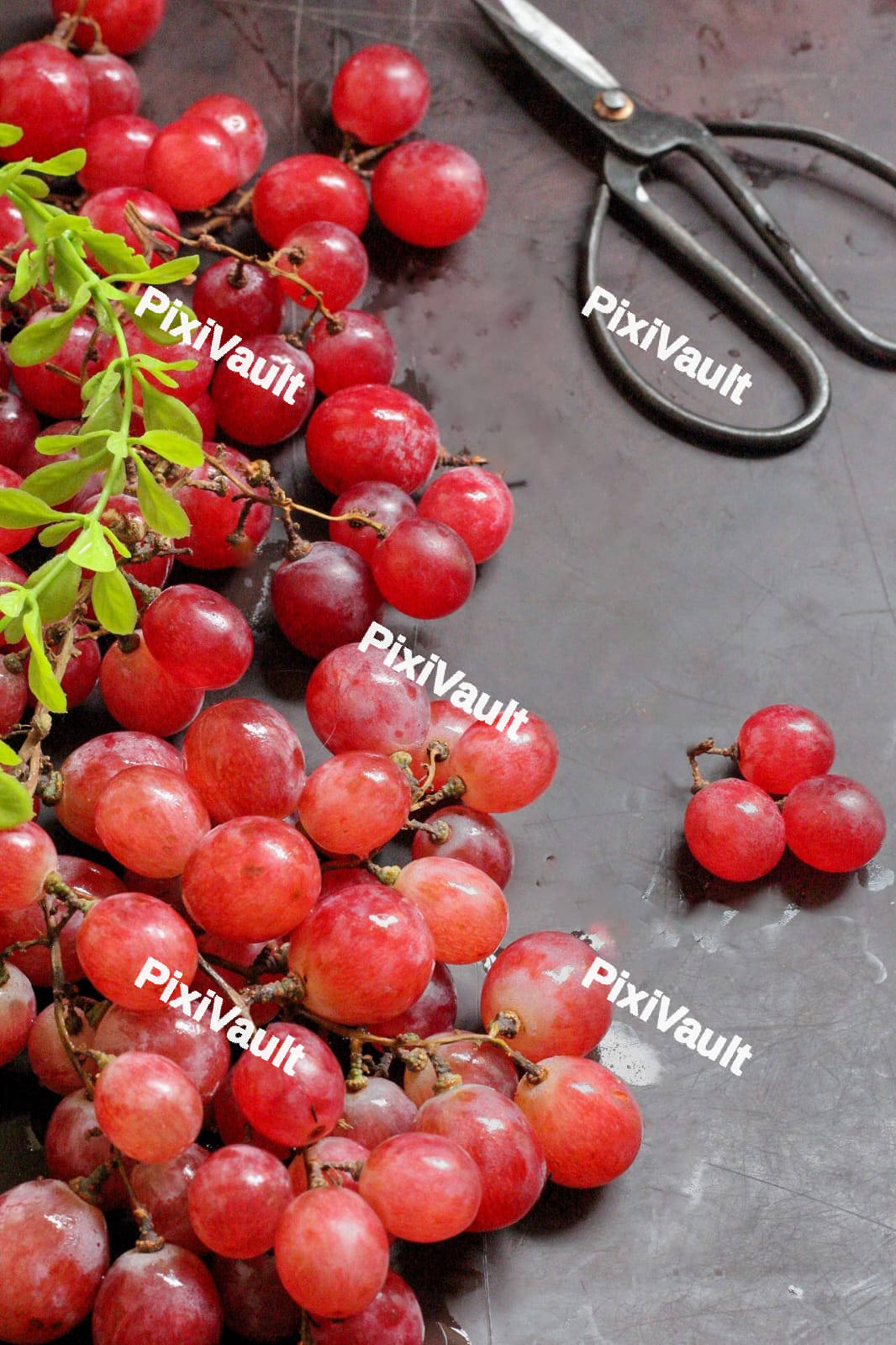 Red Grapes